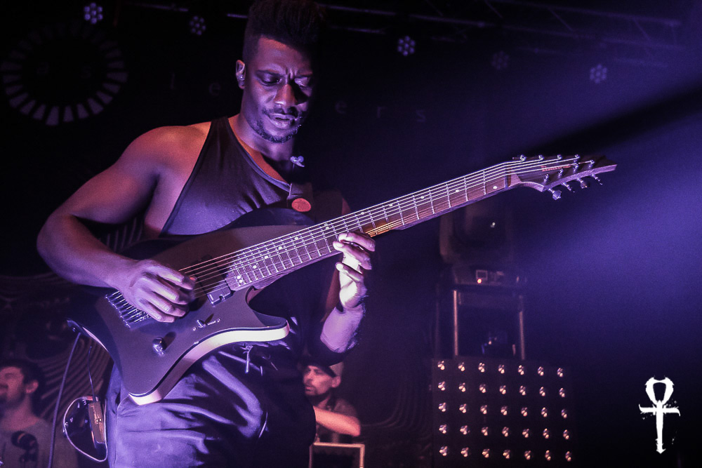 Animals As Leaders: Instrumental Madness of Many - Seattle Music News